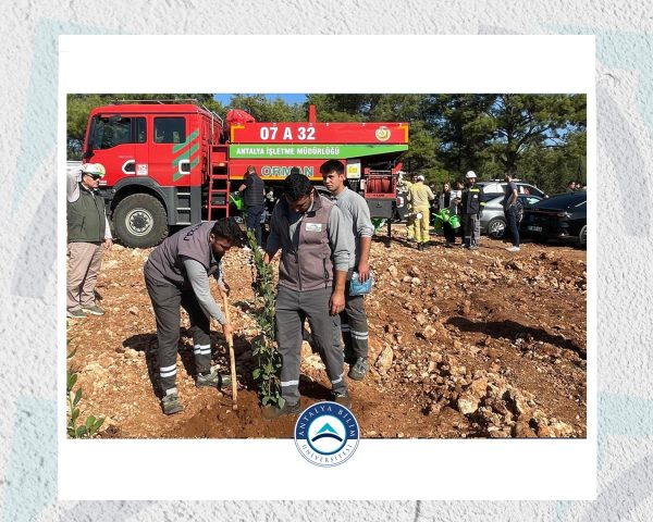 ABÜ, 11 Kasım Milli Ağaçlandırma Günü’nde “Yeşil Vatan Seferberliği”ne Katıldı