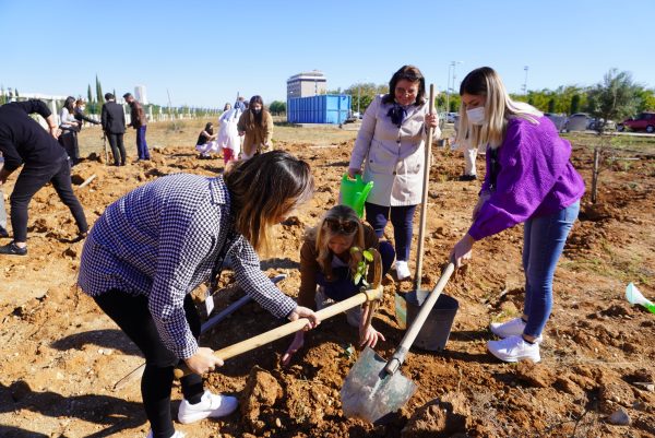 11 Kasım Milli Ağaçlandırma Günü
