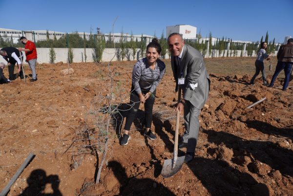 11 Kasım Milli Ağaçlandırma Günü