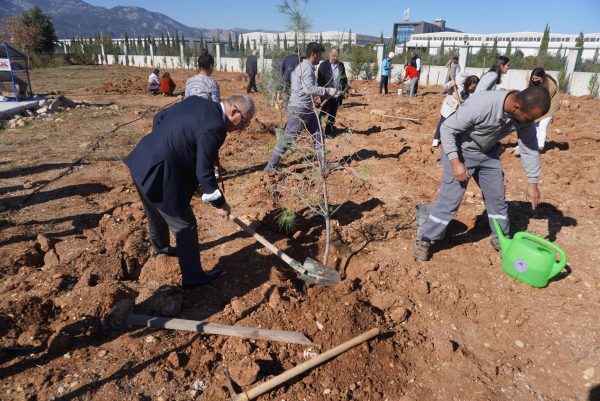 11 Kasım Milli Ağaçlandırma Günü