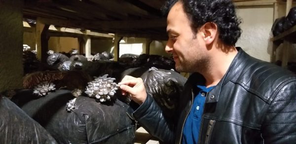 antalya-korkuteli-deki-mantar-ureticilerine-gezi5d0a3d0806656.jpeg