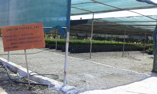 bati-akdeniz-tarimsal-arastirma-enstitusu-mudurlugu-teknik-gezisi5b0cf6eb114b8.jpeg